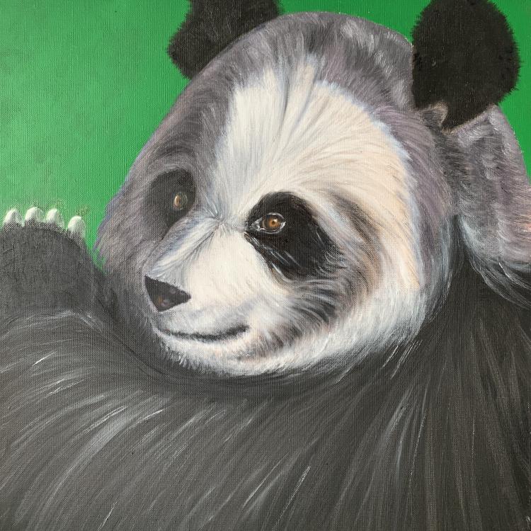 Le Panda | Terre d'Huile